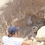 Археологические находки из зоны строительства «Тавриды» покажут в Херсонесе