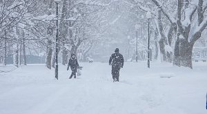 Мороз и снег ожидаются в Крыму 12 января