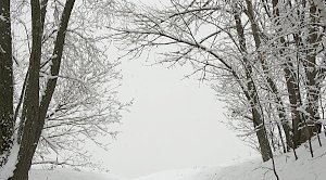 В пятницу в Крыму до 1 градуса тепла, мокрый снег