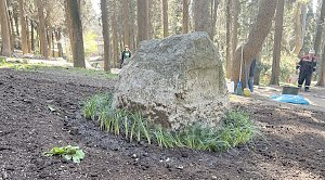 Не изученная ранее могила сестры Чехова выявлена в Ялте