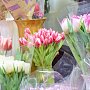 Эксперты рассказали о ценах на цветы к 8 марта