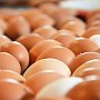 Производители яиц и овощей в прошлом году нарастили прибыли втрое